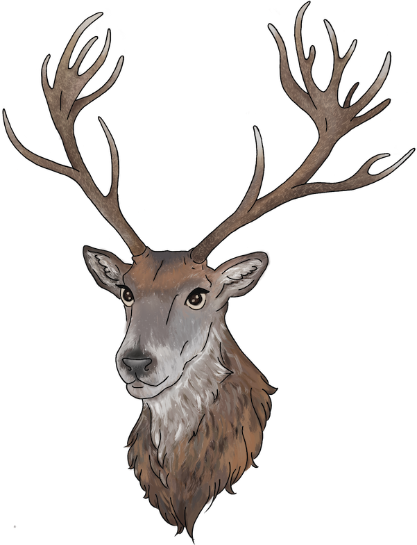 Raindeer logo, an illustrated deer with large antlers